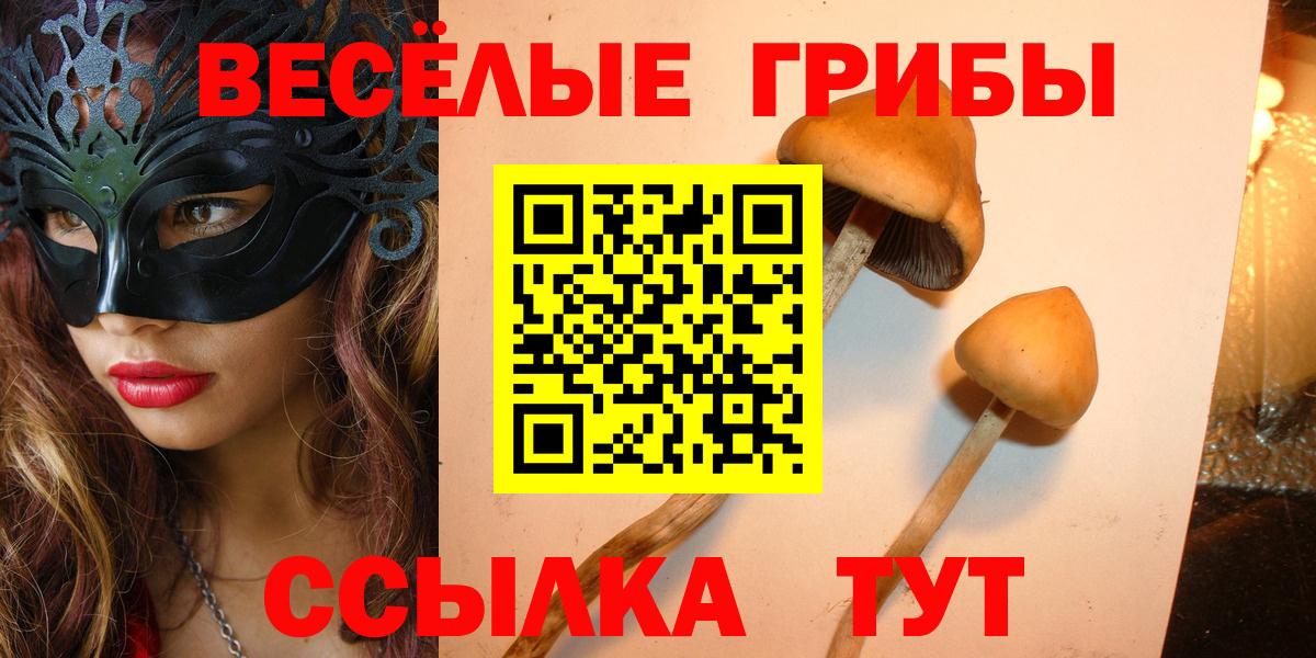 Кызыл  Галлюциногенные грибы ЛСД  Вход с VPN 